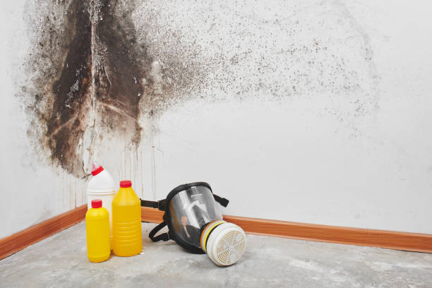 Best Crawl Space Mold Removal  in Fulton, MO