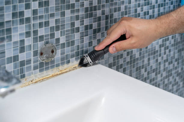 Best Toxic Mold Removal  in Fulton, MO