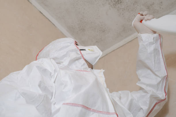 Home Mold Removal in Fulton, MO
