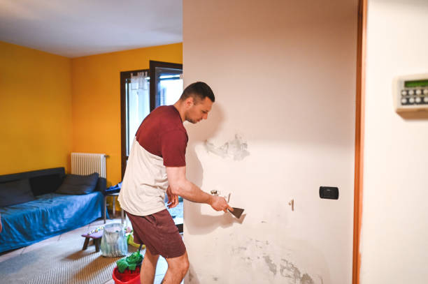 Attic Mold Removal in Fulton, MO